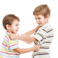 Tackling Aggression in Children