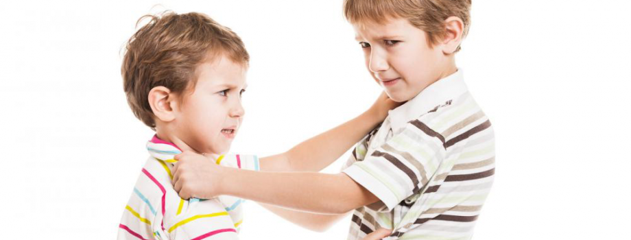 Tackling Aggression in Children